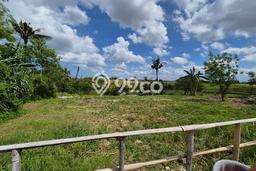 Tanah Dijual Area Strategis di Beraban Tabanan 3590m2 Tanah Dijual Area Strategis di Beraban Tabanan 3590m2