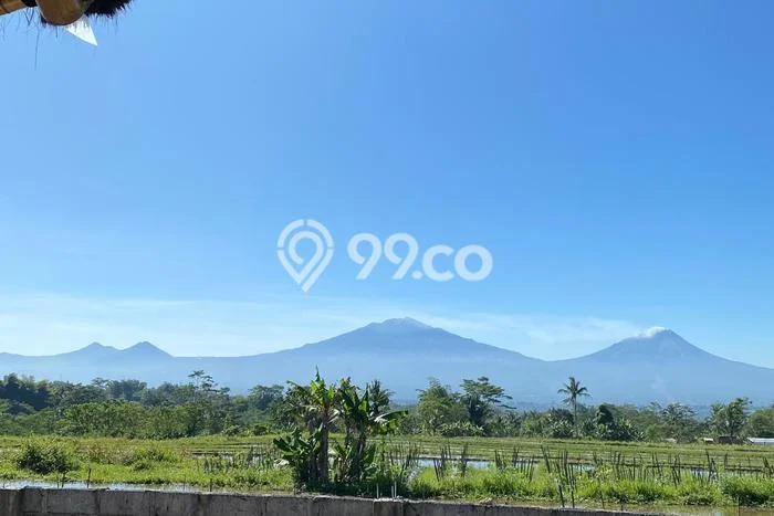 HARGA MENARIK! Vila Kawasan Bandongan, Dimensi 2580m2m², Area Premium dengan akses bagus HARGA MENARIK! Vila Kawasan Bandongan, Dimensi 2580m2m², Area Premium dengan akses bagus