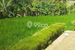 Tanah di Jonggol, Bogor Luas 8000m2 Dijual Segera Tanah di Jonggol, Bogor Luas 8000m2 Dijual Segera