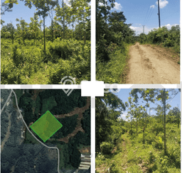 Kavling Tanah Dijual di Curugbitung Lebak Spesifikasi 11000m2 Kavling Tanah Dijual di Curugbitung Lebak Spesifikasi 11000m2