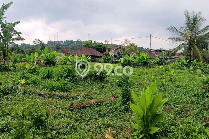 Dijual Tanah di Cibadak Sukabumi Luas 120m2 AJB Dijual Tanah di Cibadak Sukabumi Luas 120m2 AJB