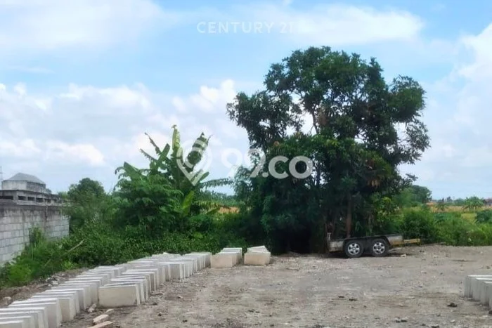 Tanah untuk Disewa di Yogyakarta Luas 2639m2 Tanah untuk Disewa di Yogyakarta Luas 2639m2