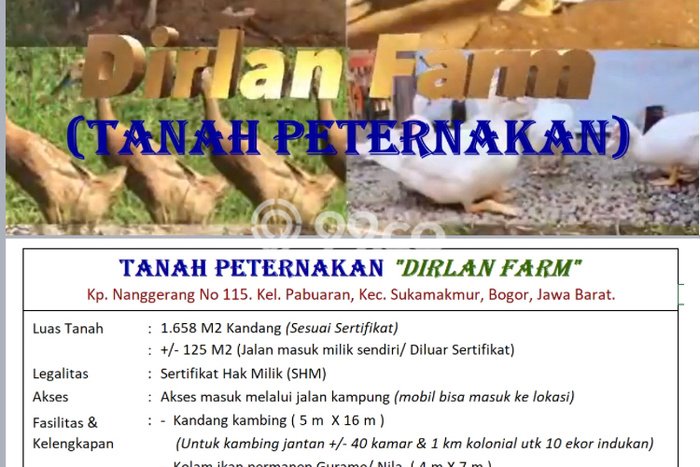 Tanah Kavling untuk Dijual di Sukamakmur Bogor 1658m2 Tanah Kavling untuk Dijual di Sukamakmur Bogor 1658m2
