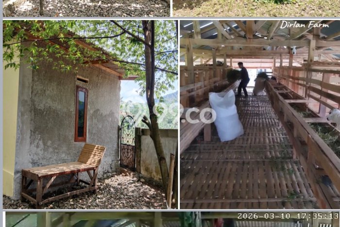 Tanah Kavling untuk Dijual di Sukamakmur Bogor 1658m2 Tanah Kavling untuk Dijual di Sukamakmur Bogor 1658m2