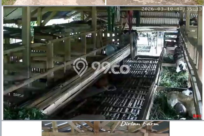 Tanah Kavling untuk Dijual di Sukamakmur Bogor 1658m2 Tanah Kavling untuk Dijual di Sukamakmur Bogor 1658m2