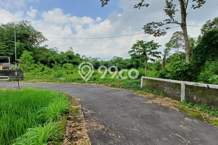Tanah Siap Bangun Dijual di Sleman Punya Luas 165m2 Tanah Siap Bangun Dijual di Sleman Punya Luas 165m2