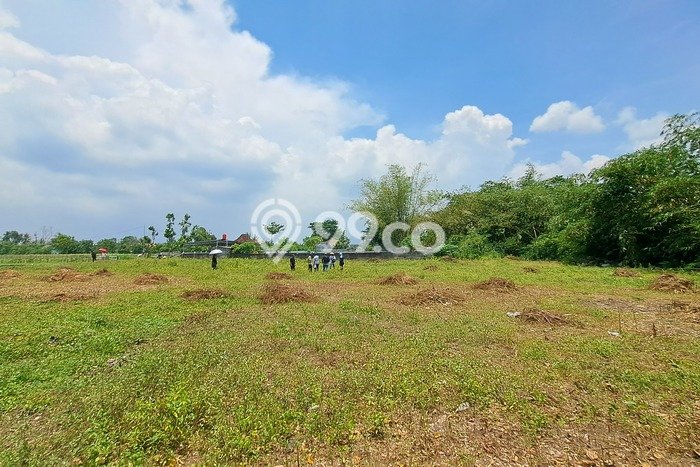 Dijual Tanah di Yogyakarta, Luas 99m2 SHM Dijual Tanah di Yogyakarta, Luas 99m2 SHM