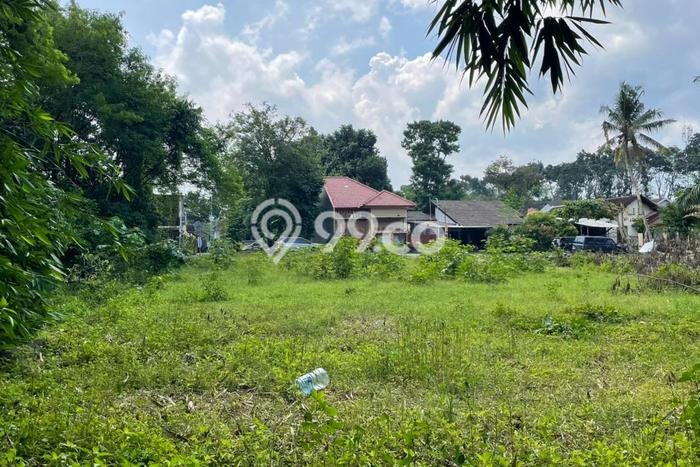 Untuk Dijual Tanah 126m2 di Sleman, Yogyakarta Untuk Dijual Tanah 126m2 di Sleman, Yogyakarta