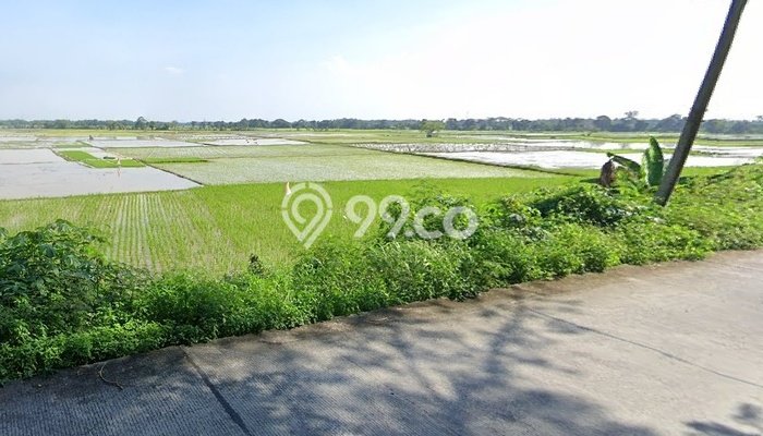 Tanah Siap Bangun Dijual di Tangerang Punya Luas 100000m2 Tanah Siap Bangun Dijual di Tangerang Punya Luas 100000m2