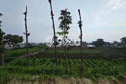 Tanah Siap Bangun Dijual di Bandung Punya Luas 3650m2 Tanah Siap Bangun Dijual di Bandung Punya Luas 3650m2
