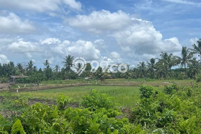 Tanah Kavling Dijual di Tabanan dengan Spesifikasi 7450m2 Tanah Kavling Dijual di Tabanan dengan Spesifikasi 7450m2