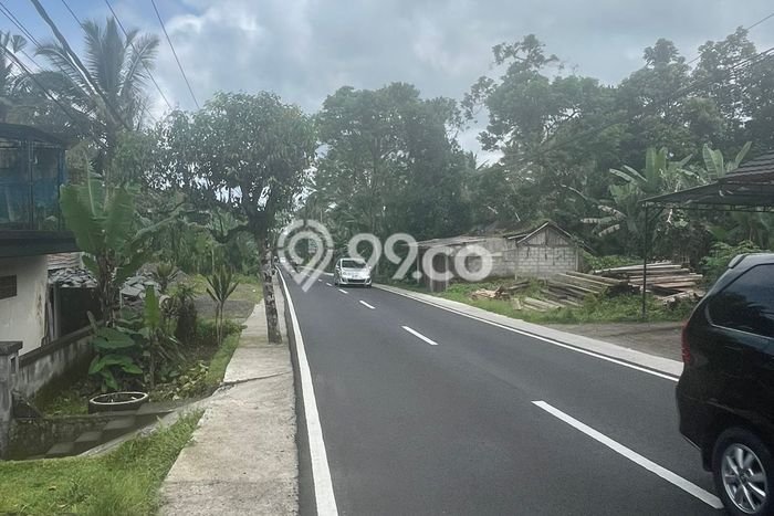 Dijual Tanah di Payangan Gianyar Luas 8450m2 SHM Dijual Tanah di Payangan Gianyar Luas 8450m2 SHM