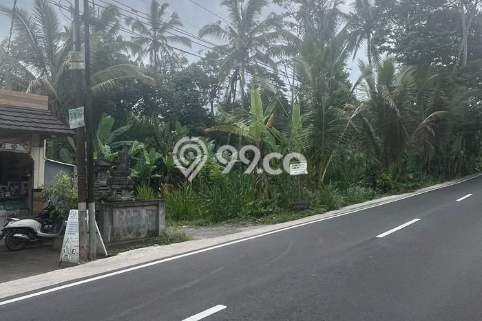 Kavling Tanah Dijual di Payangan Gianyar Spesifikasi 8450m2 Kavling Tanah Dijual di Payangan Gianyar Spesifikasi 8450m2