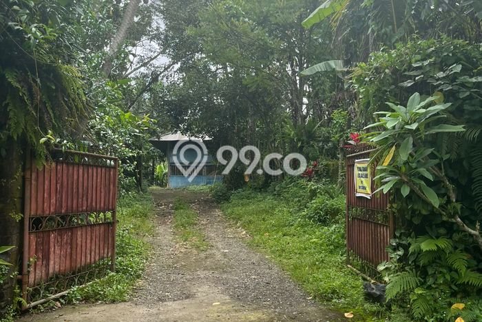 Kavling Tanah Dijual di Payangan Gianyar Spesifikasi 8450m2 Kavling Tanah Dijual di Payangan Gianyar Spesifikasi 8450m2