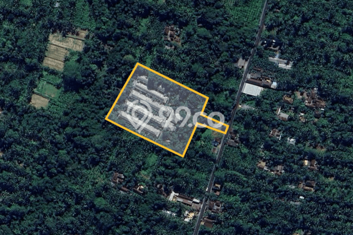 Kavling Tanah Dijual di Payangan Gianyar Spesifikasi 8450m2 Kavling Tanah Dijual di Payangan Gianyar Spesifikasi 8450m2