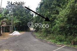 Lahan Strategis di Gamping Dijual dengan Luas 3995m2 Lahan Strategis di Gamping Dijual dengan Luas 3995m2