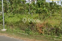 Tanah untuk Dijual di Wonosari Gunung Kidul Luas 16513m2 Tanah untuk Dijual di Wonosari Gunung Kidul Luas 16513m2