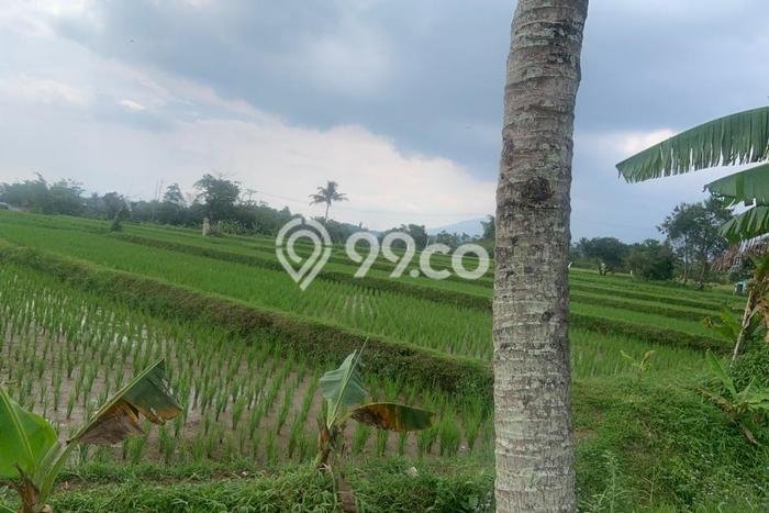 Tanah Strategis Dijual di Sukaraja Sukabumi 6165m2 Tanah Strategis Dijual di Sukaraja Sukabumi 6165m2