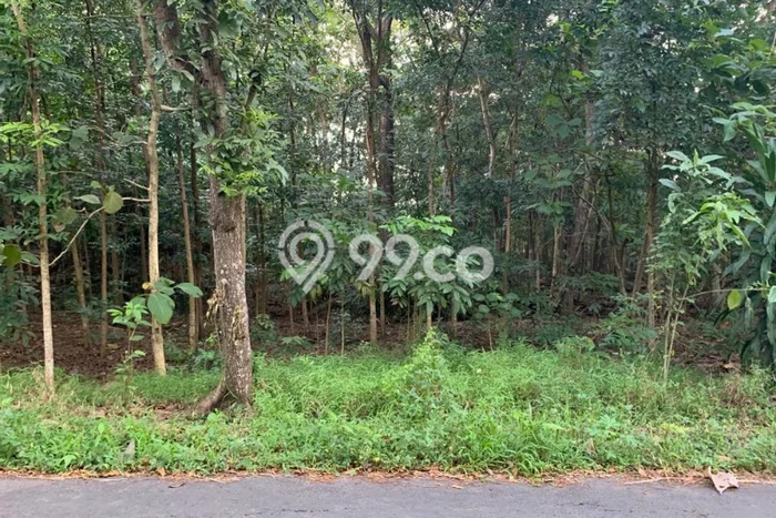 Tanah Komersial Dijual di Banyudono Boyolali 382m2 Tanah Komersial Dijual di Banyudono Boyolali 382m2