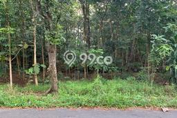 Tanah Komersial Dijual di Banyudono Boyolali 382m2 Tanah Komersial Dijual di Banyudono Boyolali 382m2
