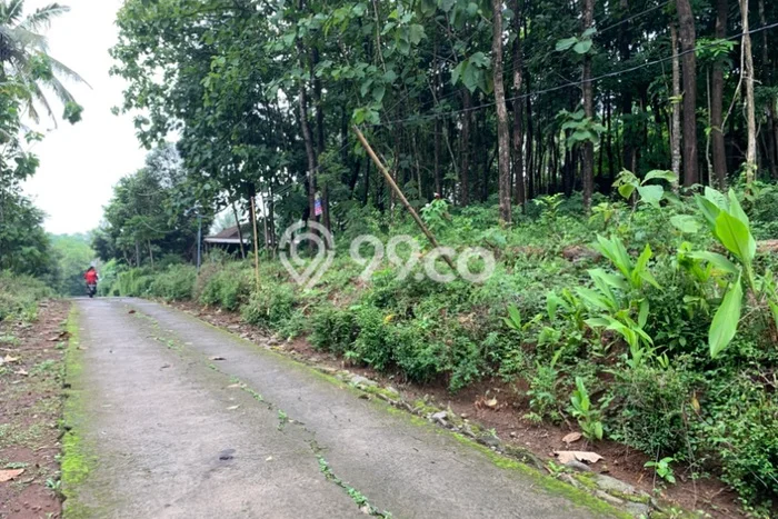 Kavling Tanah Dijual di Mojosongo, Boyolali, Luas 1243m2 Area Strategis Kavling Tanah Dijual di Mojosongo, Boyolali, Luas 1243m2 Area Strategis