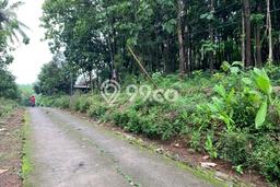 Kavling Tanah Dijual di Mojosongo, Boyolali, Luas 1243m2 Area Strategis Kavling Tanah Dijual di Mojosongo, Boyolali, Luas 1243m2 Area Strategis