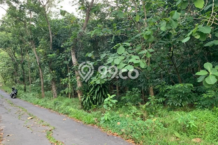 Tanah Komersial Dijual di Banyudono Boyolali 382m2 Tanah Komersial Dijual di Banyudono Boyolali 382m2