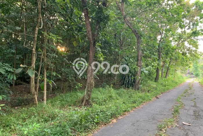 Tanah Komersial Dijual di Banyudono Boyolali 382m2 Tanah Komersial Dijual di Banyudono Boyolali 382m2