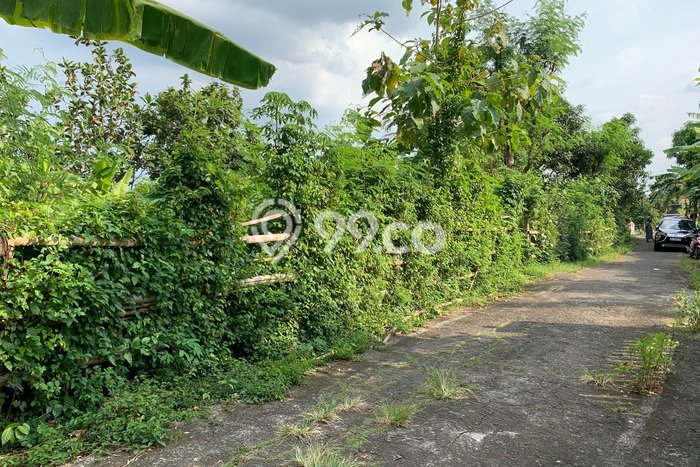 Lahan Kosong Dijual di Teras, Boyolali, Luas 1093m2 Area Strategis Lahan Kosong Dijual di Teras, Boyolali, Luas 1093m2 Area Strategis