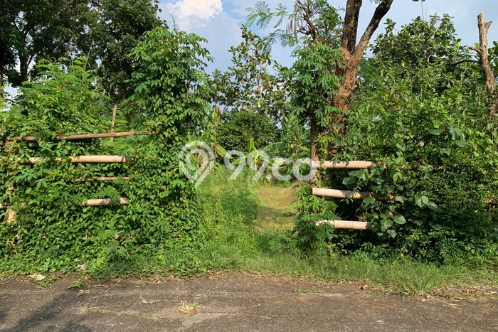 Lahan Kosong Dijual di Teras, Boyolali, Luas 1093m2 Area Strategis Lahan Kosong Dijual di Teras, Boyolali, Luas 1093m2 Area Strategis