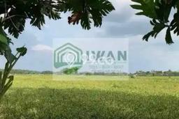 Lahan Kosong Dijual di Teras, Boyolali, Luas 1093m2 Area Strategis Lahan Kosong Dijual di Teras, Boyolali, Luas 1093m2 Area Strategis