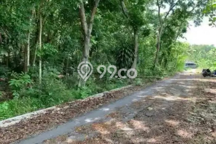 Lahan Kosong Dijual di Banyudono, Boyolali, Luas 382m2 Area Strategis Lahan Kosong Dijual di Banyudono, Boyolali, Luas 382m2 Area Strategis