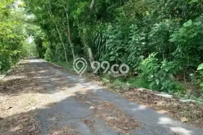 Lahan Kosong Dijual di Banyudono, Boyolali, Luas 382m2 Area Strategis Lahan Kosong Dijual di Banyudono, Boyolali, Luas 382m2 Area Strategis