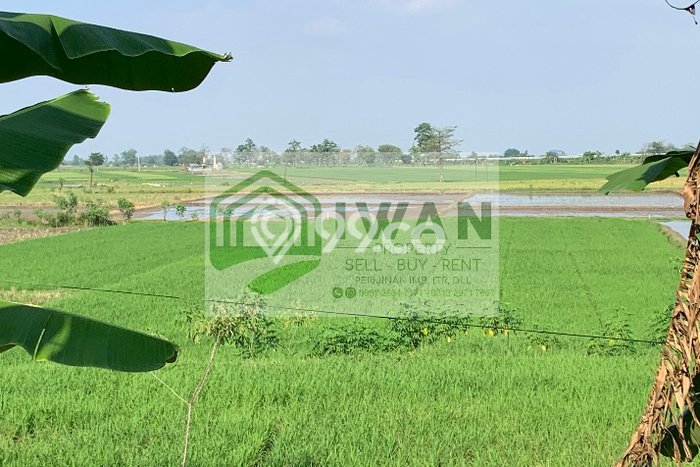 Tanah Dijual Lokasi Banyudono Boyolali SHM Tanah Dijual Lokasi Banyudono Boyolali SHM