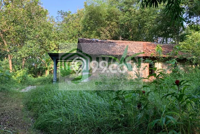 Tanah Strategis Dijual di Banyudono Boyolali 1799m2 Tanah Strategis Dijual di Banyudono Boyolali 1799m2