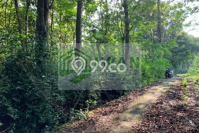 Tanah Strategis Dijual di Banyudono Boyolali 1799m2 Tanah Strategis Dijual di Banyudono Boyolali 1799m2