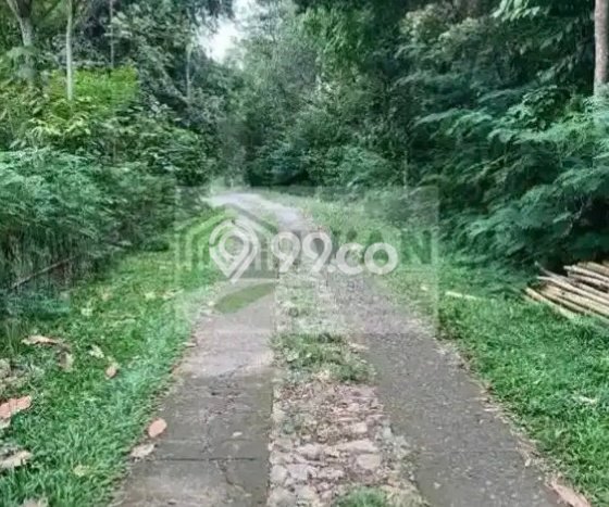 Tanah Kosong Dijual di Boyolali dengan Area 3000m2 Tanah Kosong Dijual di Boyolali dengan Area 3000m2