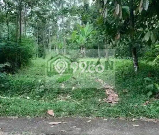 Tanah Kosong Dijual di Boyolali dengan Area 3000m2 Tanah Kosong Dijual di Boyolali dengan Area 3000m2
