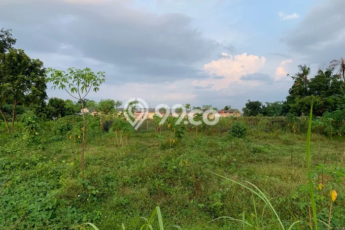 Lahan untuk Dijual di Mojosongo Boyolali Luas 160m2 Lahan untuk Dijual di Mojosongo Boyolali Luas 160m2