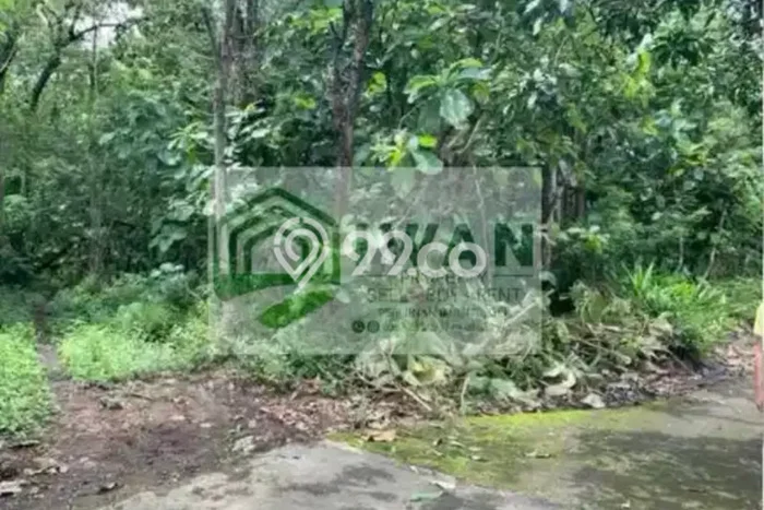 Tanah Kavling untuk Dijual di Banyudono Boyolali 2500m2 Tanah Kavling untuk Dijual di Banyudono Boyolali 2500m2