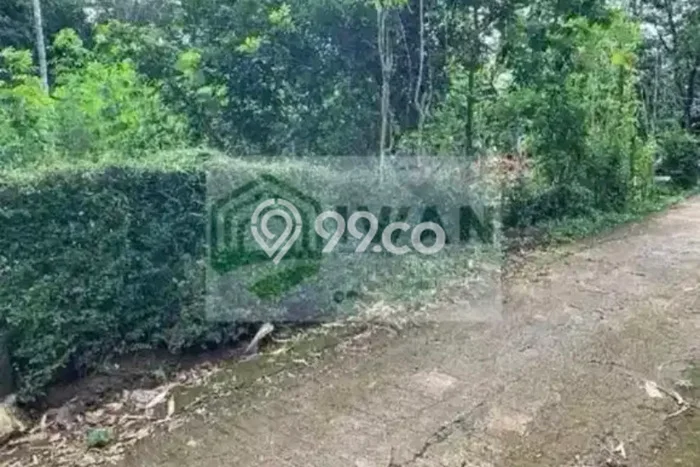 Tanah untuk Dijual di Mojosongo Boyolali Luas 700m2 Tanah untuk Dijual di Mojosongo Boyolali Luas 700m2