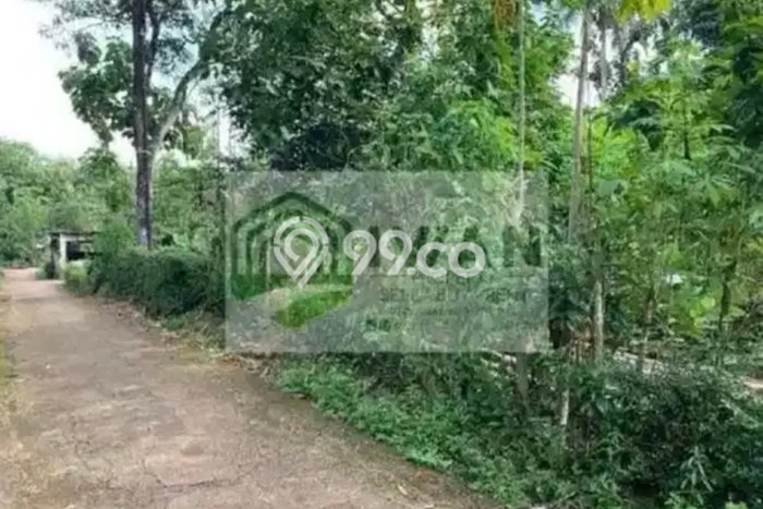 Tanah untuk Dijual di Mojosongo Boyolali Luas 700m2 Tanah untuk Dijual di Mojosongo Boyolali Luas 700m2