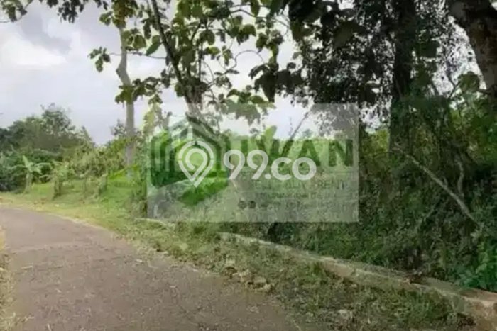 Tanah Kavling untuk Dijual di Banyudono Boyolali 1375m2 Tanah Kavling untuk Dijual di Banyudono Boyolali 1375m2