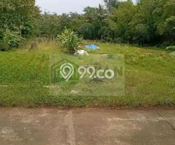 Tanah Kavling untuk Dijual di Mojosongo Boyolali 4953m2 Tanah Kavling untuk Dijual di Mojosongo Boyolali 4953m2