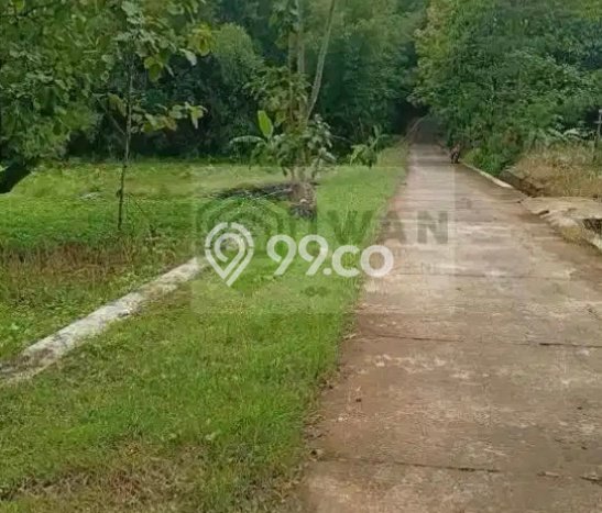 Tanah Kavling untuk Dijual di Mojosongo Boyolali 4953m2 Tanah Kavling untuk Dijual di Mojosongo Boyolali 4953m2
