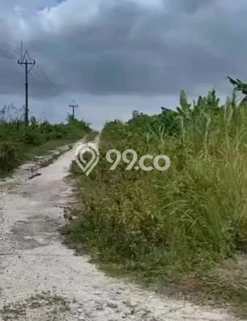 Tanah Kavling untuk Dijual di Tabanan Tabanan 160m2 Tanah Kavling untuk Dijual di Tabanan Tabanan 160m2