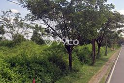 Tanah Kavling di Widang Dijual dengan Luas 43000m2 Tanah Kavling di Widang Dijual dengan Luas 43000m2