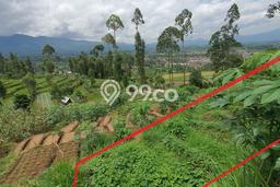 Tanah Kavling untuk Dijual di Bayongbong Garut 1680m2 Tanah Kavling untuk Dijual di Bayongbong Garut 1680m2