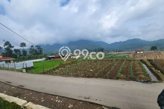 Tanah Kosong Dijual di Bandung dengan Area 2200m2 Tanah Kosong Dijual di Bandung dengan Area 2200m2