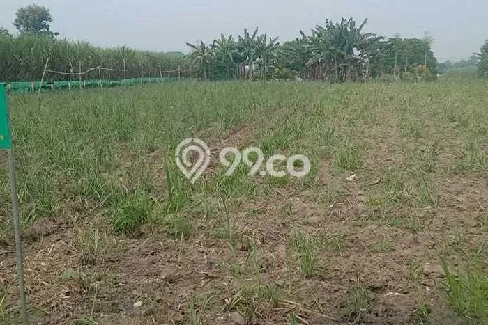 Tanah Kavling Dijual di Kediri dengan Spesifikasi 849m2 Tanah Kavling Dijual di Kediri dengan Spesifikasi 849m2